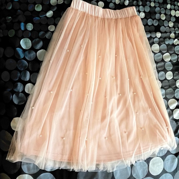 Francesca's Collections Dresses & Skirts - Francesca’s Midi Tulle Skirt
